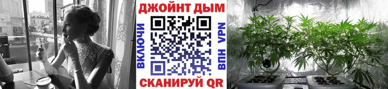 Конопля Amnesia  Обоянь 